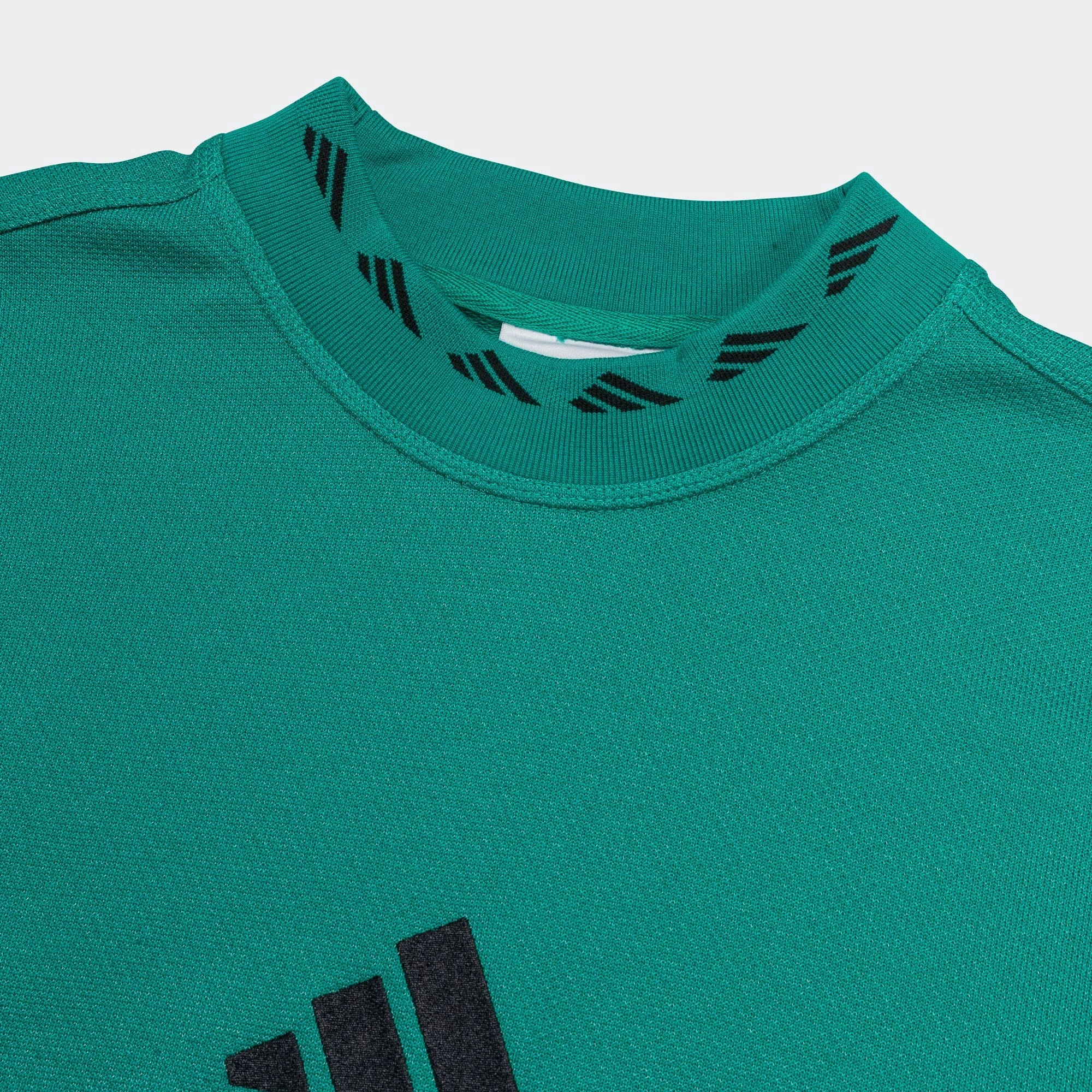 EQT Reflect Crew - EQT Green