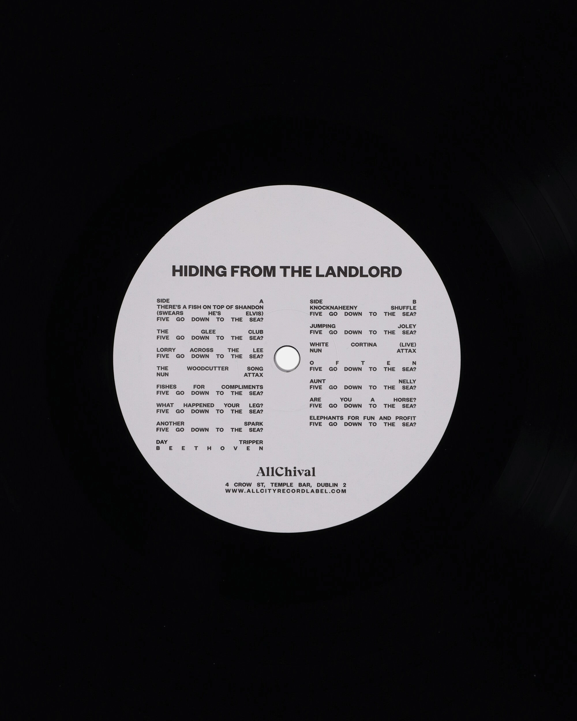 Hiding From The Landlord Vinyl