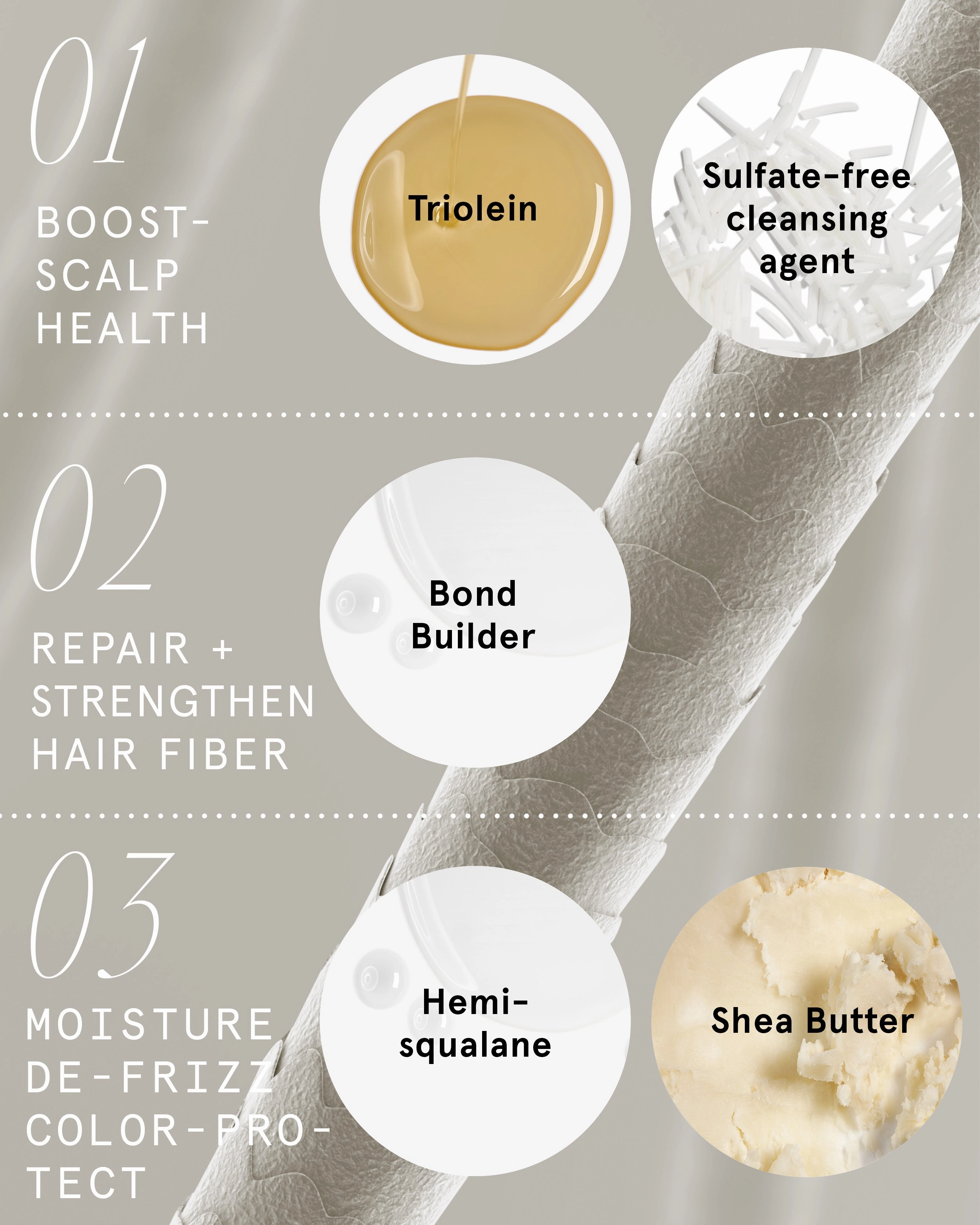 Hydrating Repair Shampoo Bar for Dry. Damaged Hair & Light Frizz
